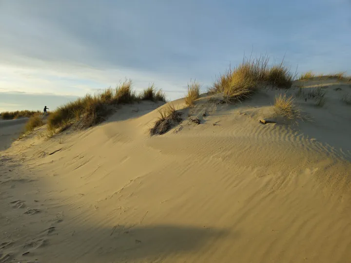 Oostnieuwkerke duinen wandeling in de koude (België)